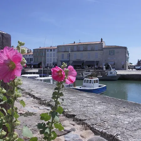 Marine Proche Du Port Avec Terrasse