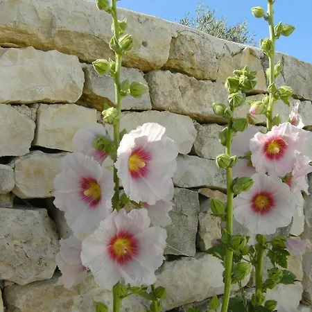 Appartement Marine Proche Du Port Avec Terrasse